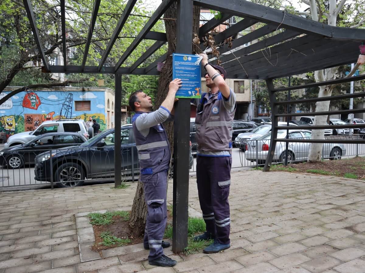 წესები ძაღლების პატრონებისთვის – თბილისის ქუჩებში საინფორმაციო დაფები გააკრეს