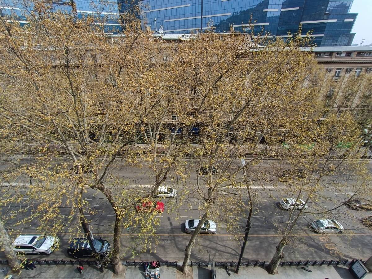 უხილავი მტერი, რომელმაც ერთ წელიწადში 5 220 ადამიანი იმსხვერპლა