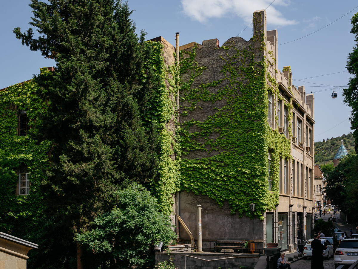 ერთი დღე კოტე აფხაზის ქუჩაზე