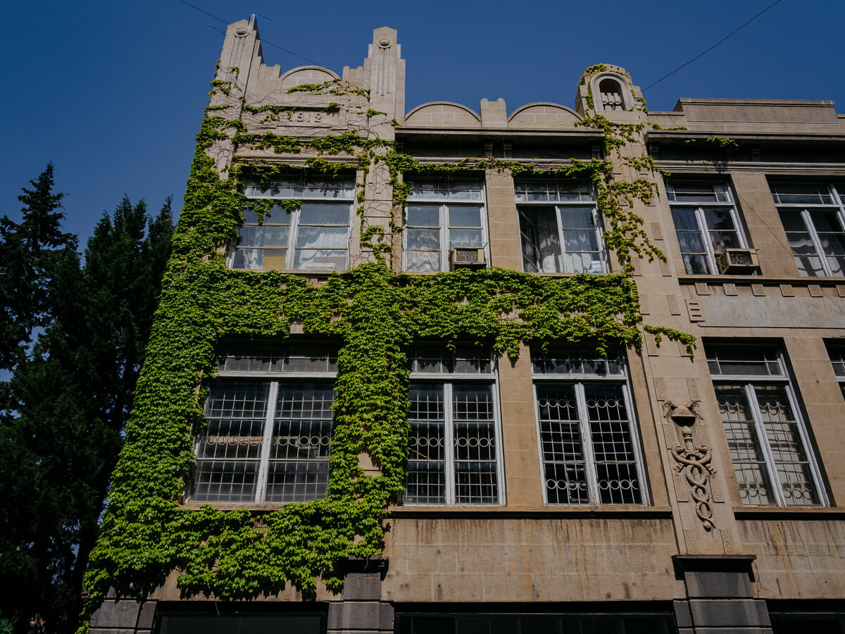 ერთი დღე კოტე აფხაზის ქუჩაზე