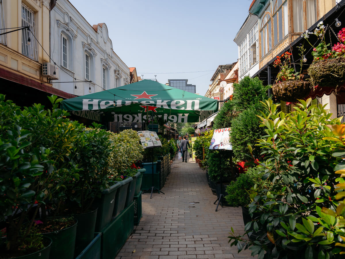 ერთი დღე კოტე აფხაზის ქუჩაზე