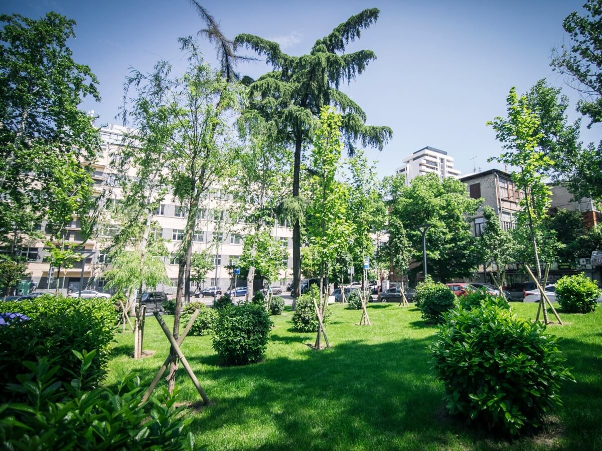 ნახეთ დედაქალაქის მერის ფოტო-კოლაჟი