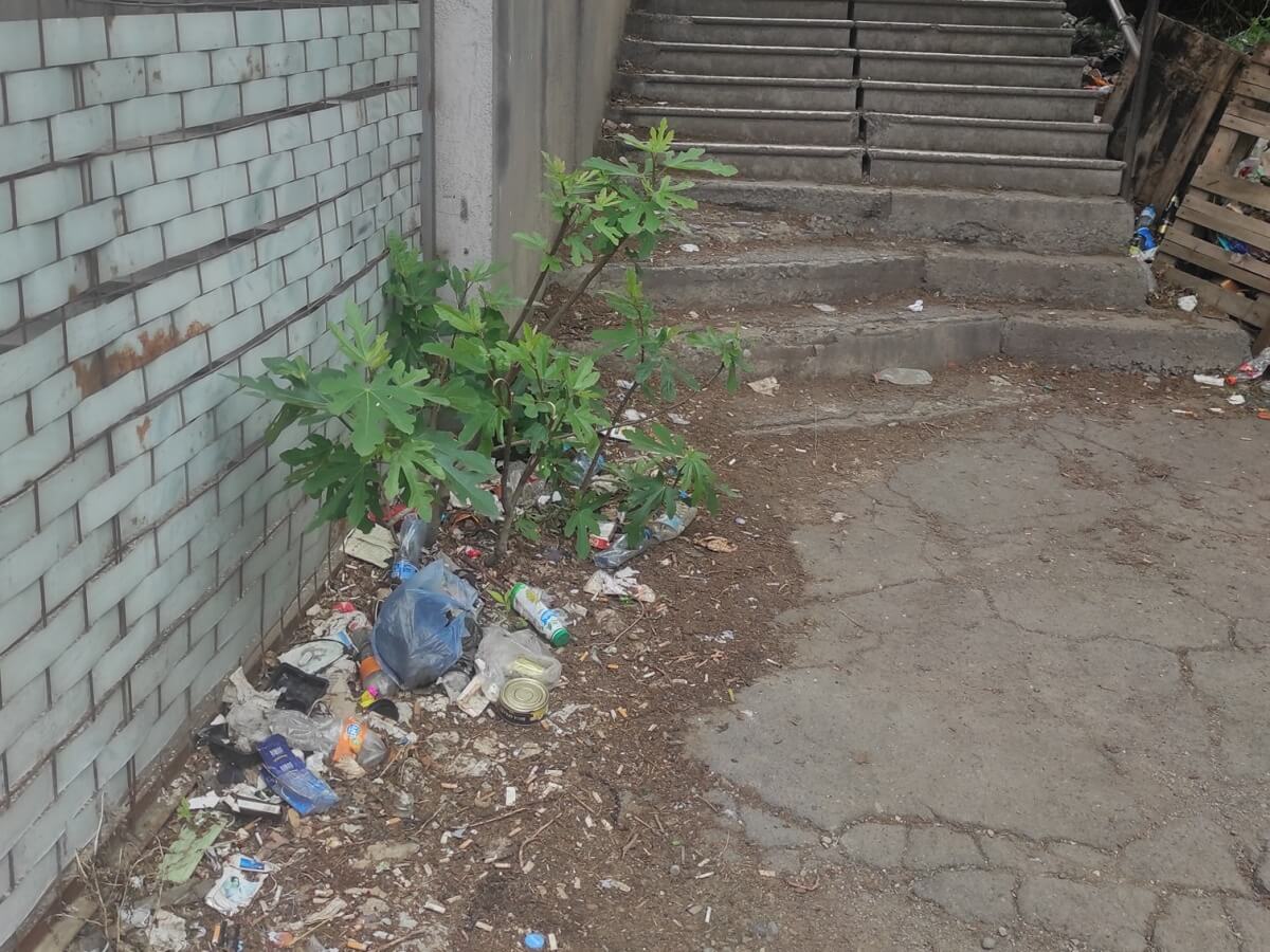 დიდუბე – სასიამოვნო მატარებლის ლოდინი – ინტერნეტ სივრცეში შემაშფოთებელი ფოტოები ვრცელდება