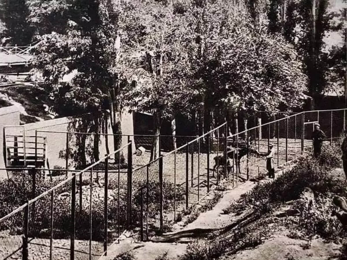 თამარ მეფის ხიდი – წარსულსა და მომავალს შორის კავშირის სიმბოლო