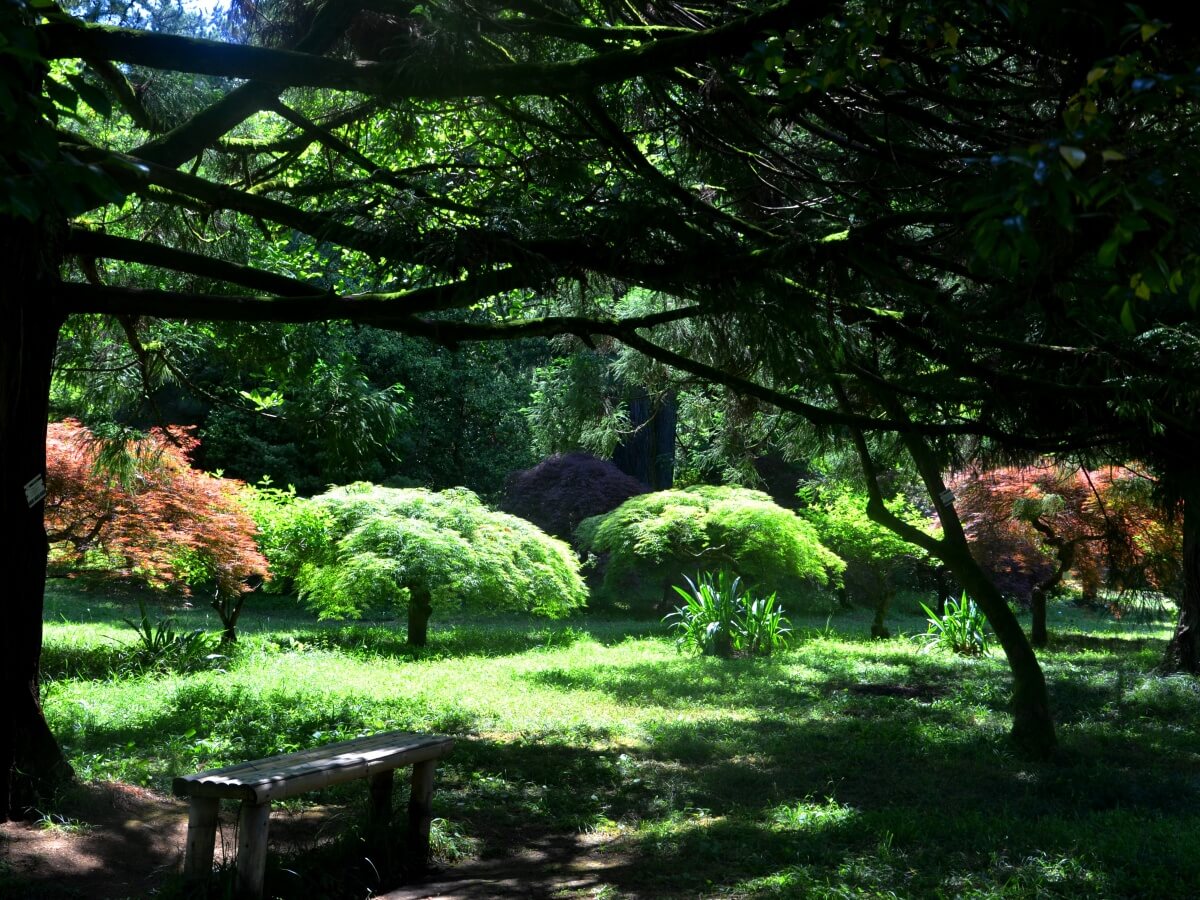 მწვანე კონცხი ბოტანიკო – რას სთავაზობს ახალი საცხოვრებელი კომპლექსი მომხმარებელს და ვინ არის პროექტის განმახორციელებელი კომპანია