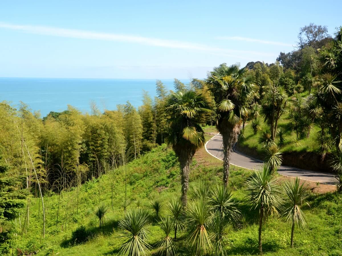 მწვანე კონცხი ბოტანიკო – რას სთავაზობს ახალი საცხოვრებელი კომპლექსი მომხმარებელს და ვინ არის პროექტის განმახორციელებელი კომპანია