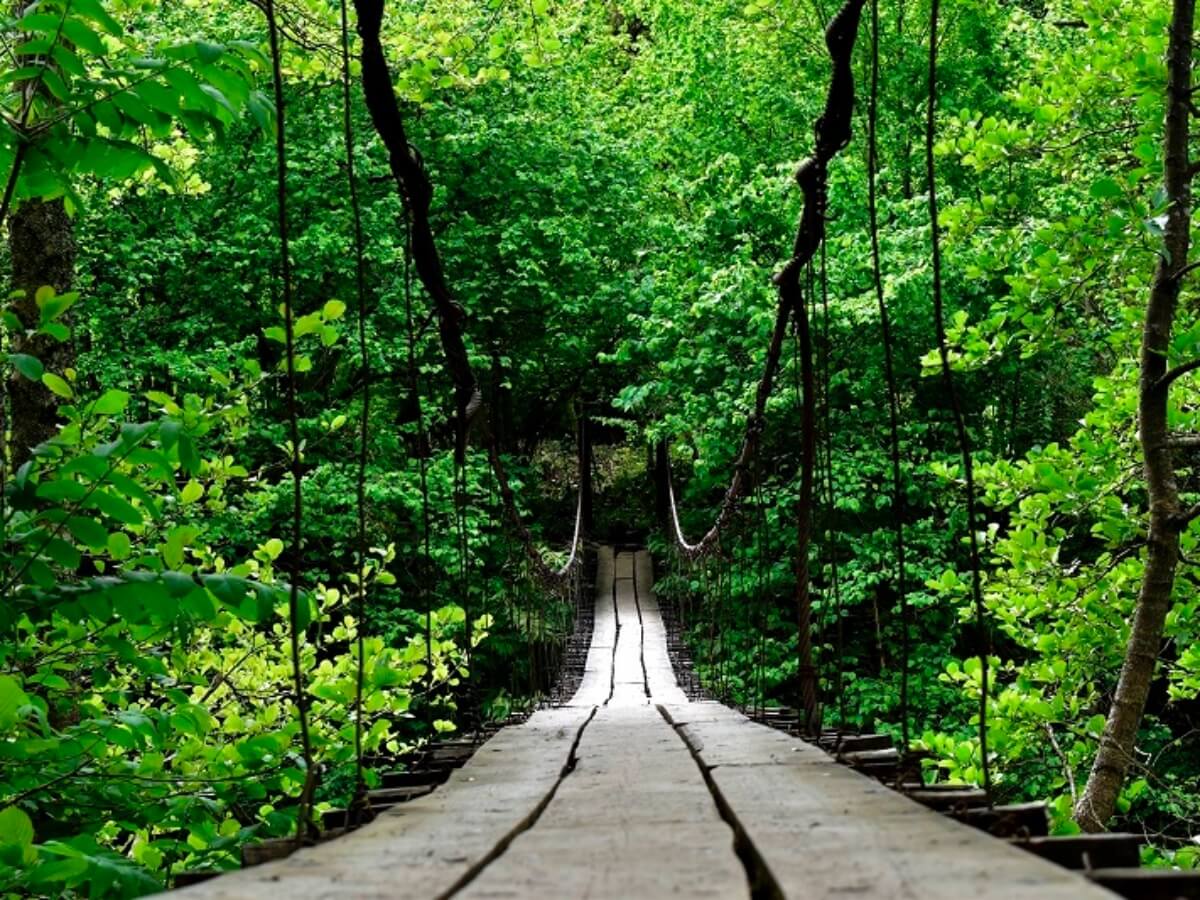 პატარა ქალაქი ჩაქვში – აჭარის რეგიონის ერთგავრი „ოაზისი“