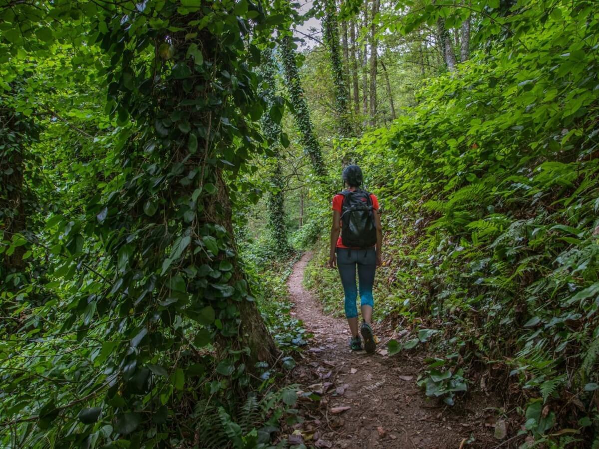 პატარა ქალაქი ჩაქვში – აჭარის რეგიონის ერთგავრი „ოაზისი“