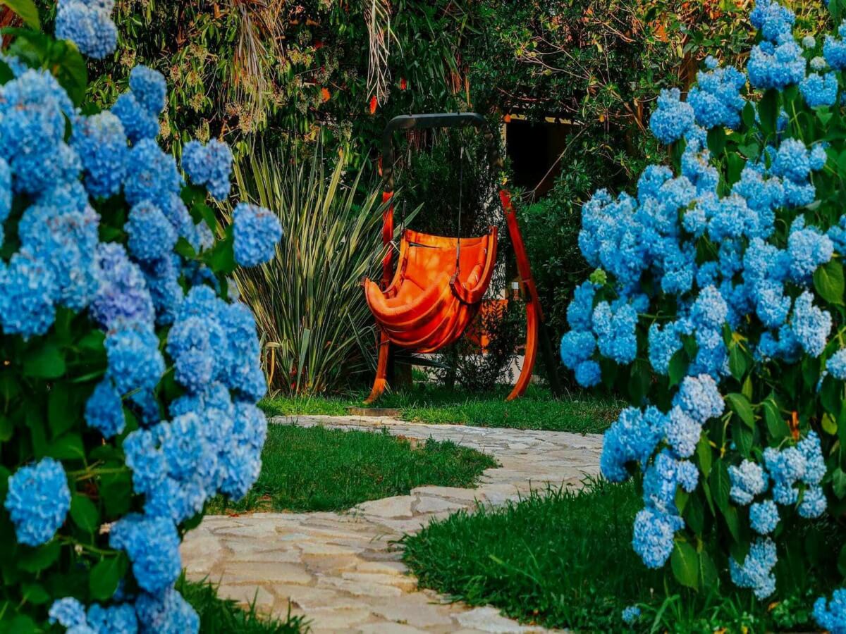 პატარა ქალაქი ჩაქვში – აჭარის რეგიონის ერთგავრი „ოაზისი“