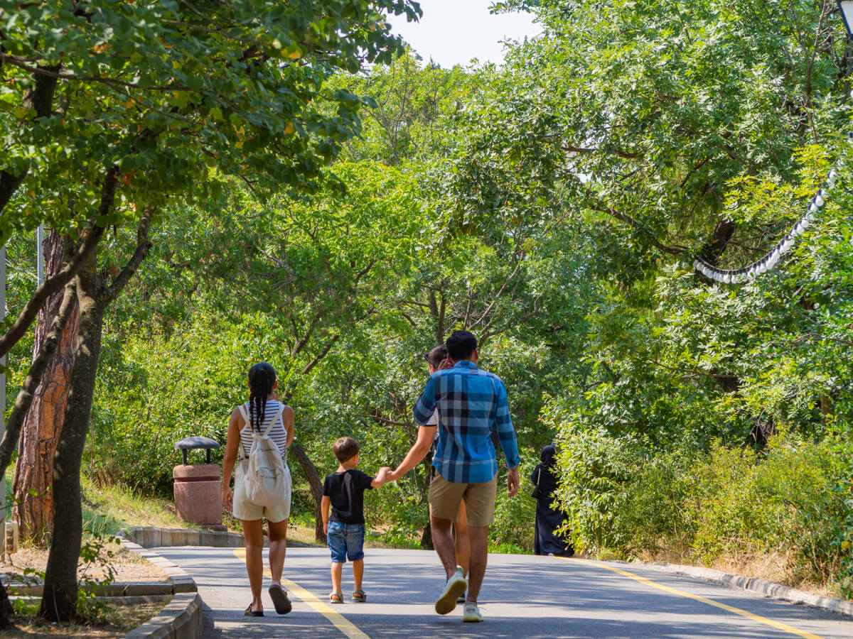 დედაქალაქის სიმბოლოს მოდერნიზების პროექტი დაახლოებით, $8 მილიონზე მეტი დაჯდება – როგორი იქნება განახლებული თბილისის ანძა