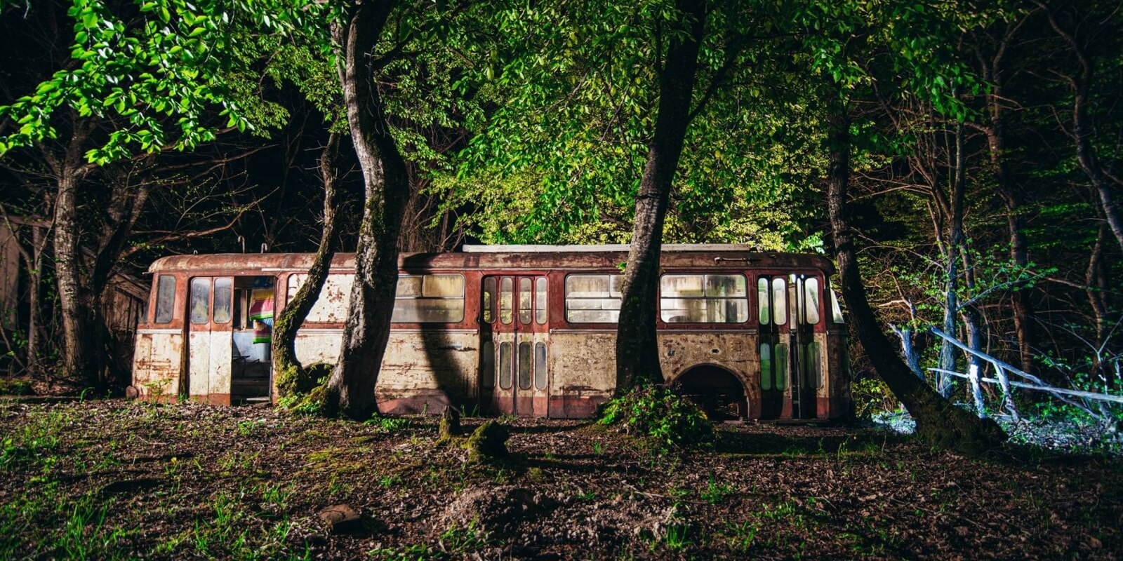 ტრანსპორტი, რომელსაც წლიურად 53 მილიონი მგზავრი გადაჰყავდა