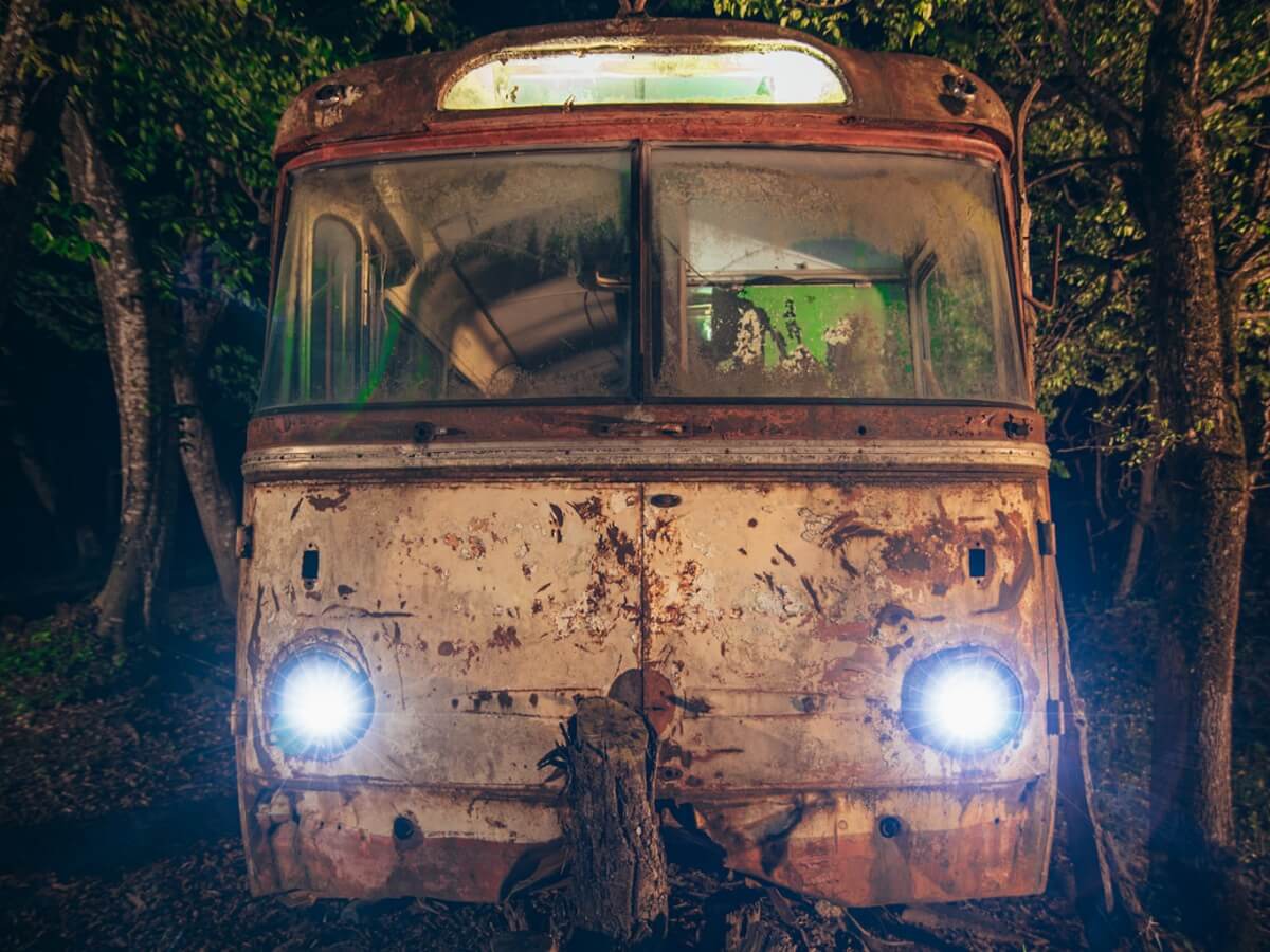 ტრანსპორტი, რომელსაც წლიურად 53 მილიონი მგზავრი გადაჰყავდა