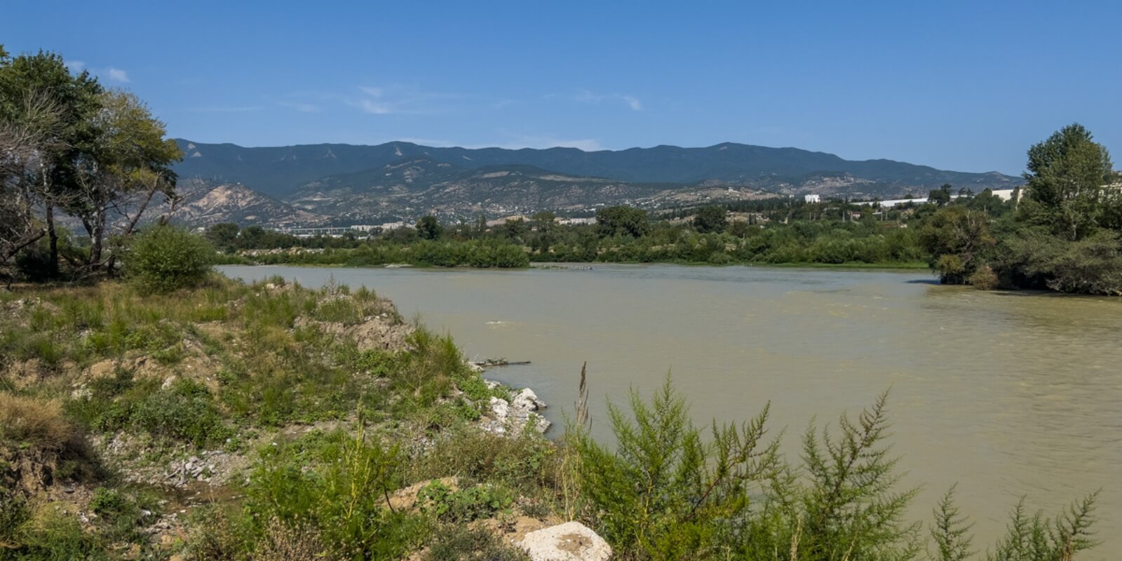 “დედაქალაქის ფილტვები” ეკოლოგიური კატასტროფის წინაშეა