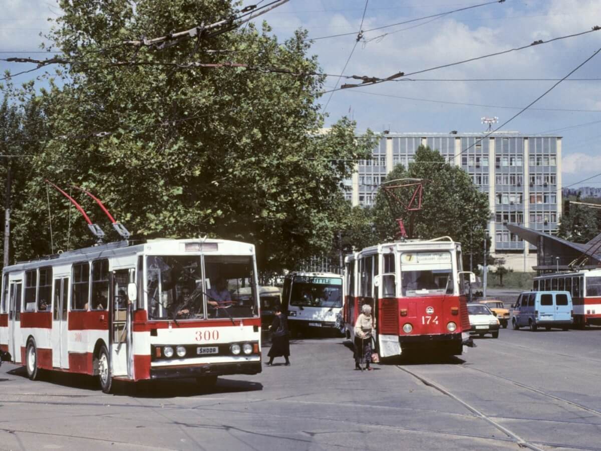 ტრანსპორტი, რომელსაც წლიურად 53 მილიონი მგზავრი გადაჰყავდა