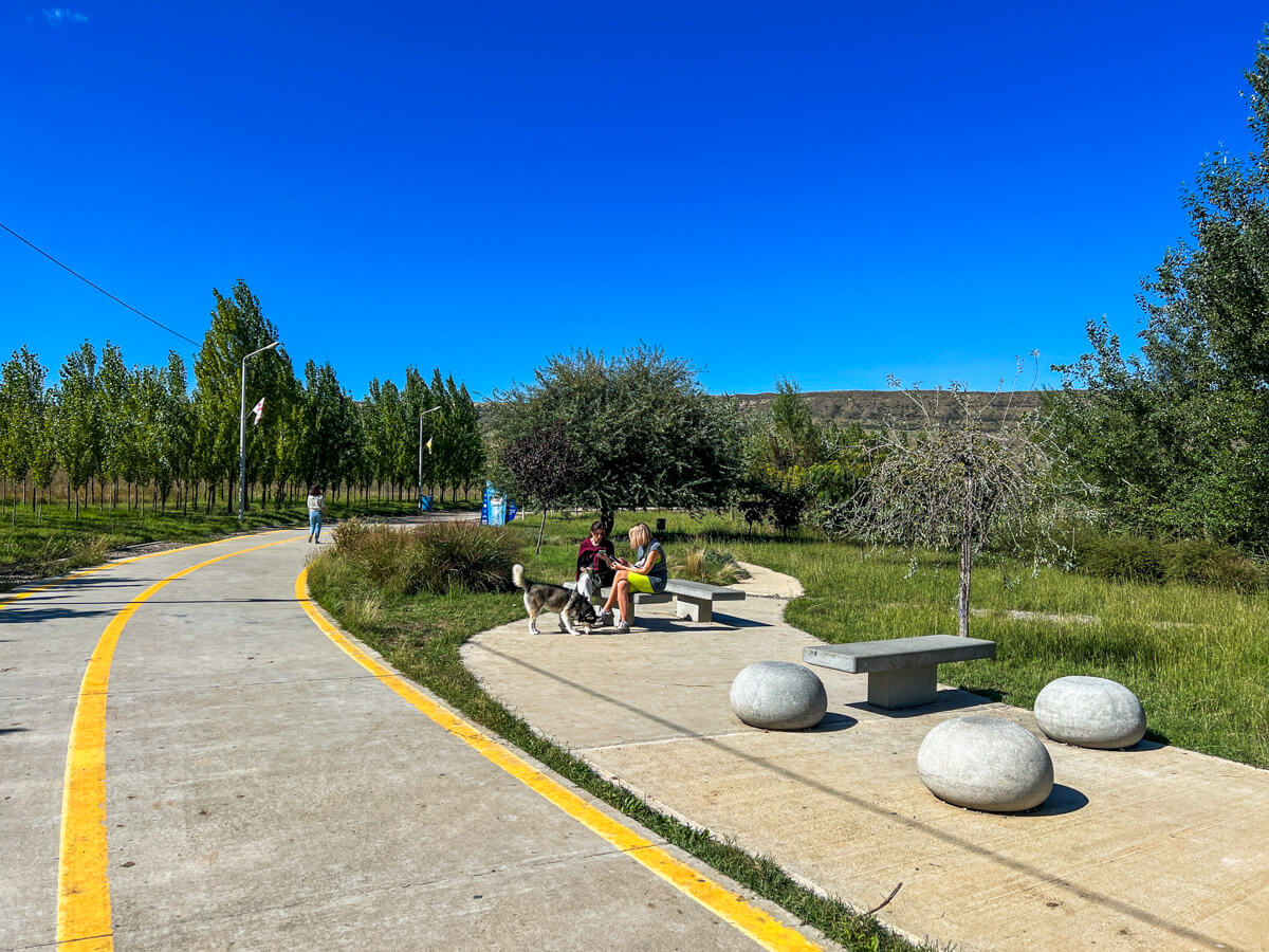 ლისის ტბა და ირგვლივ არსებული სამშენებლო ისტერია