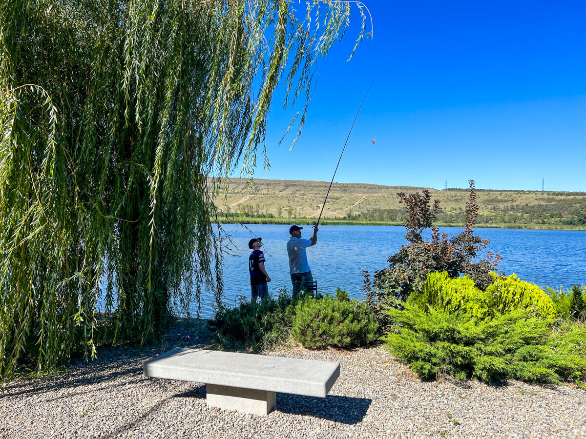 ლისის ტბა და ირგვლივ არსებული სამშენებლო ისტერია