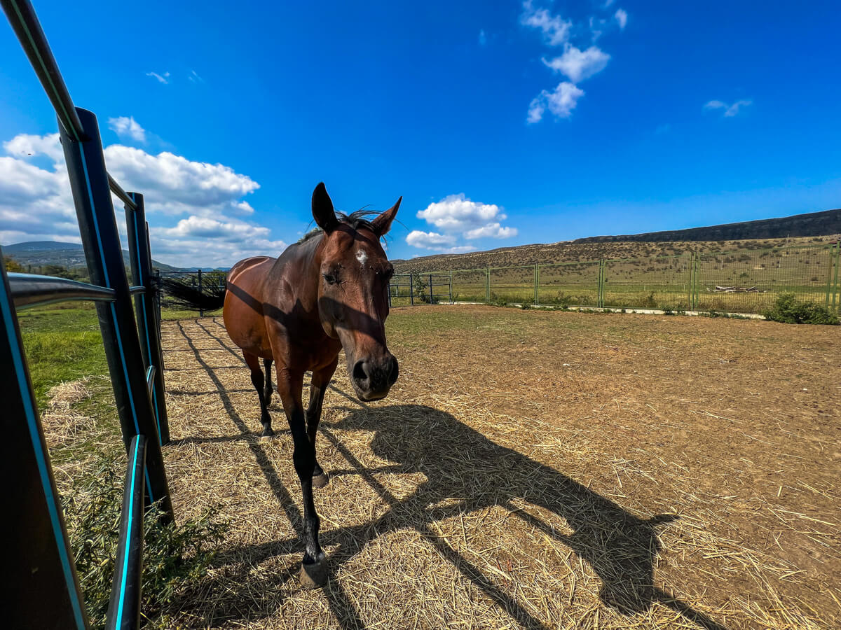 ლისის ტბა და ირგვლივ არსებული სამშენებლო ისტერია