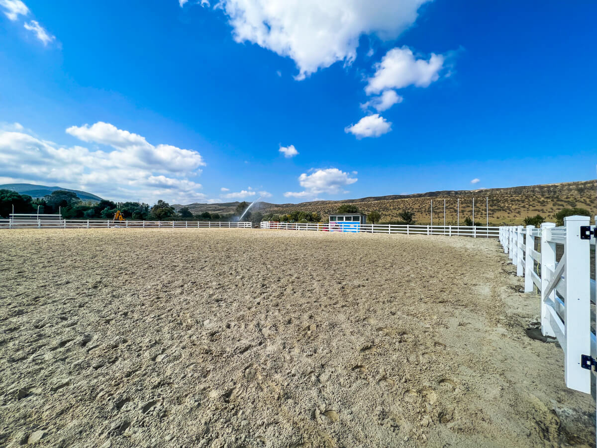 ლისის ტბა და ირგვლივ არსებული სამშენებლო ისტერია