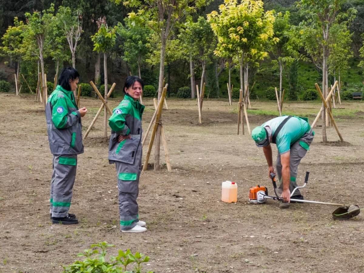 “მზიურის პარკის” ტერიტორიას ახალი სივრცე შეემატება-ნახეთ kalaki.ge-ს ფოტოკოლაჟი პარკიდან