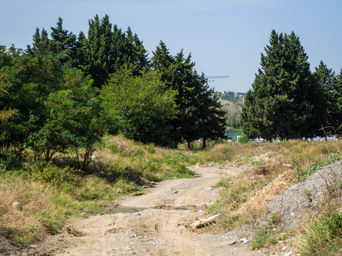 “დედაქალაქის ფილტვები” ეკოლოგიური კატასტროფის წინაშეა