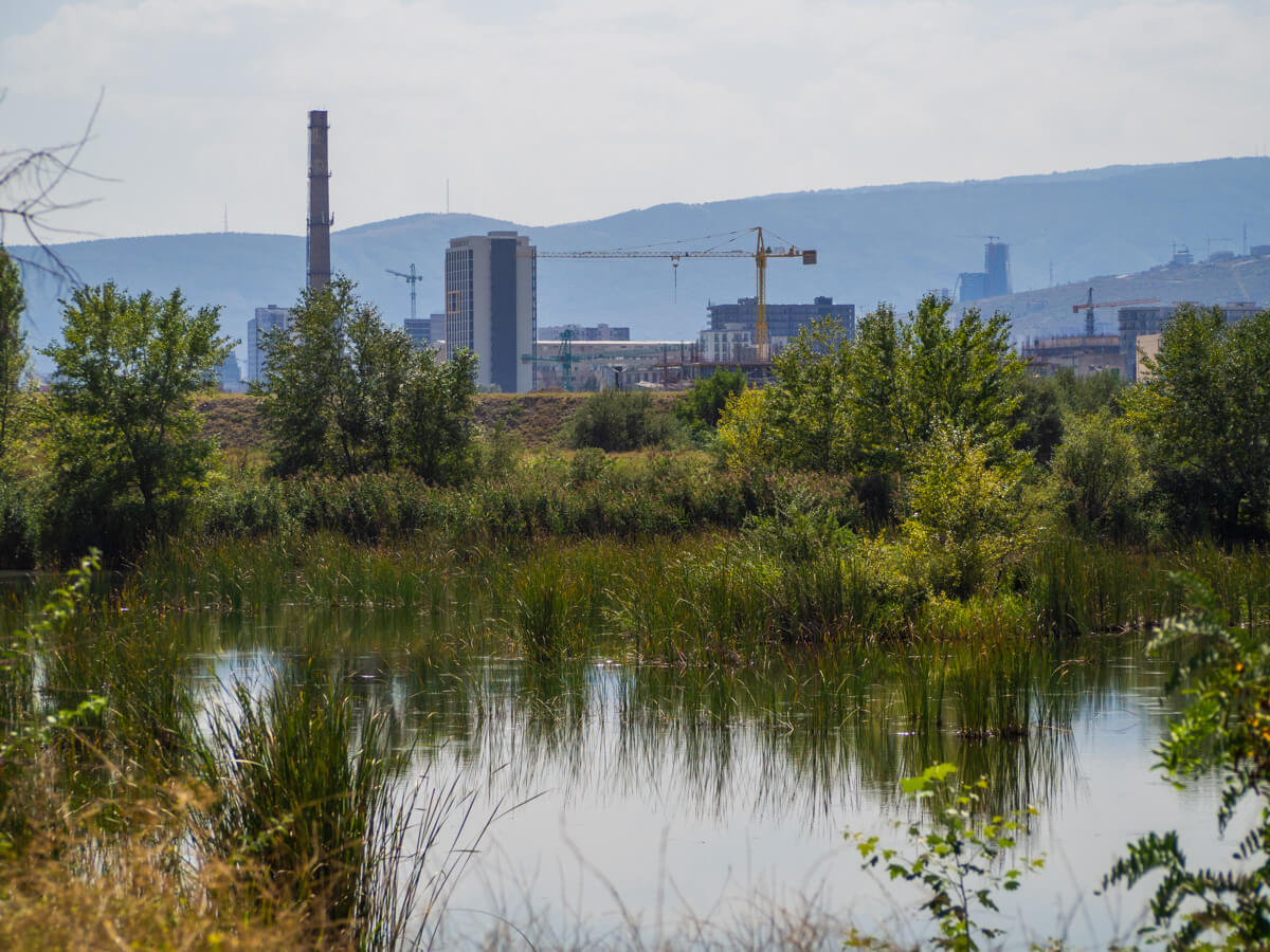 “დედაქალაქის ფილტვები” ეკოლოგიური კატასტროფის წინაშეა