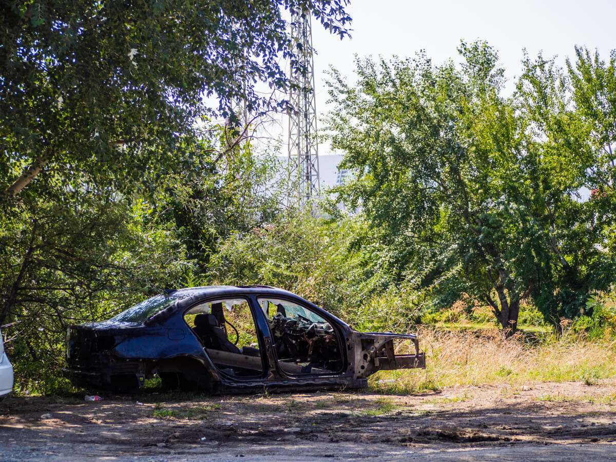 “დედაქალაქის ფილტვები” ეკოლოგიური კატასტროფის წინაშეა