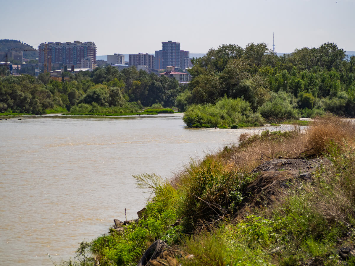 “დედაქალაქის ფილტვები” ეკოლოგიური კატასტროფის წინაშეა