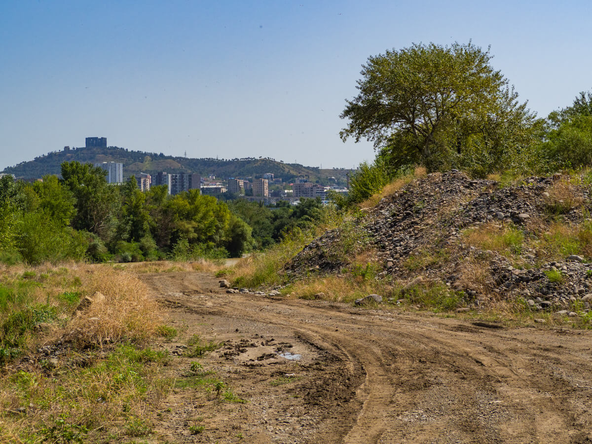 “დედაქალაქის ფილტვები” ეკოლოგიური კატასტროფის წინაშეა