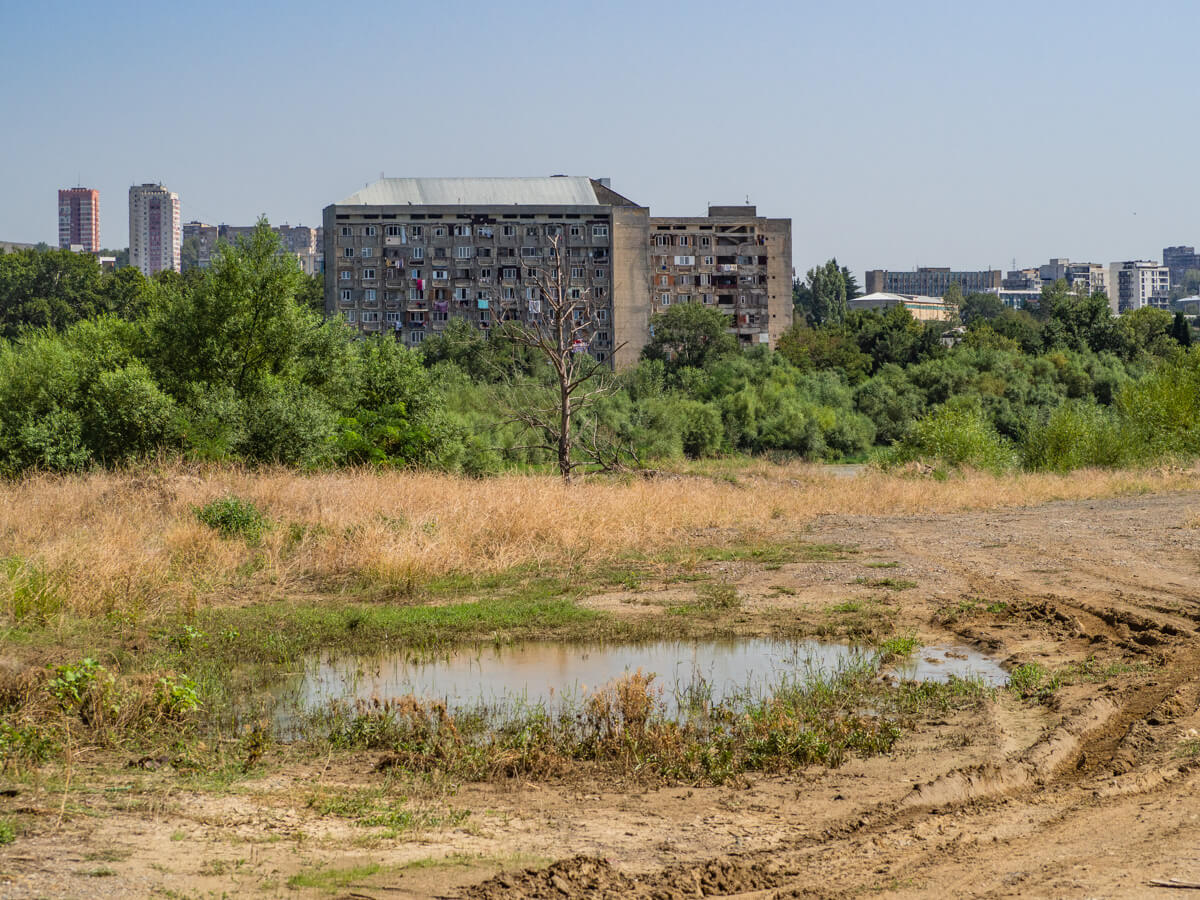 “დედაქალაქის ფილტვები” ეკოლოგიური კატასტროფის წინაშეა