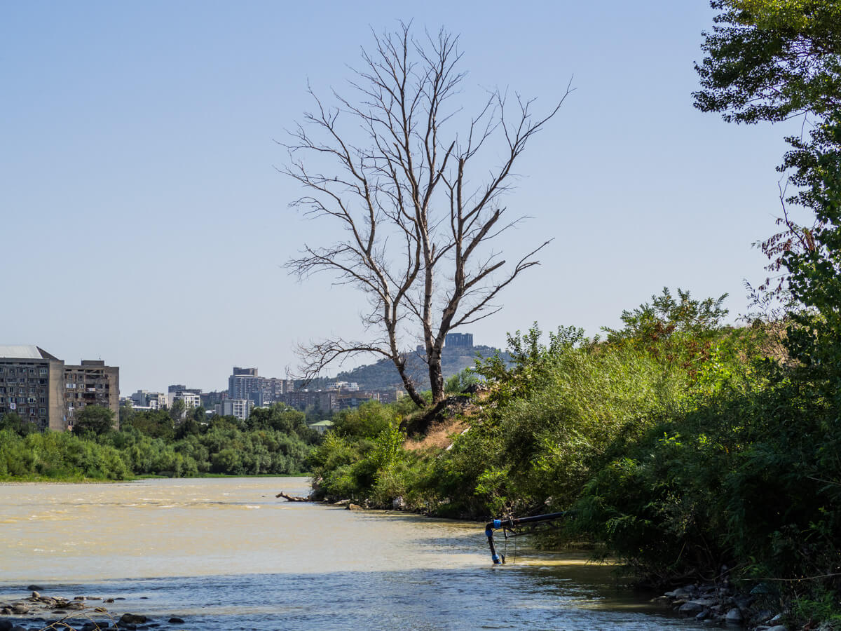 “დედაქალაქის ფილტვები” ეკოლოგიური კატასტროფის წინაშეა
