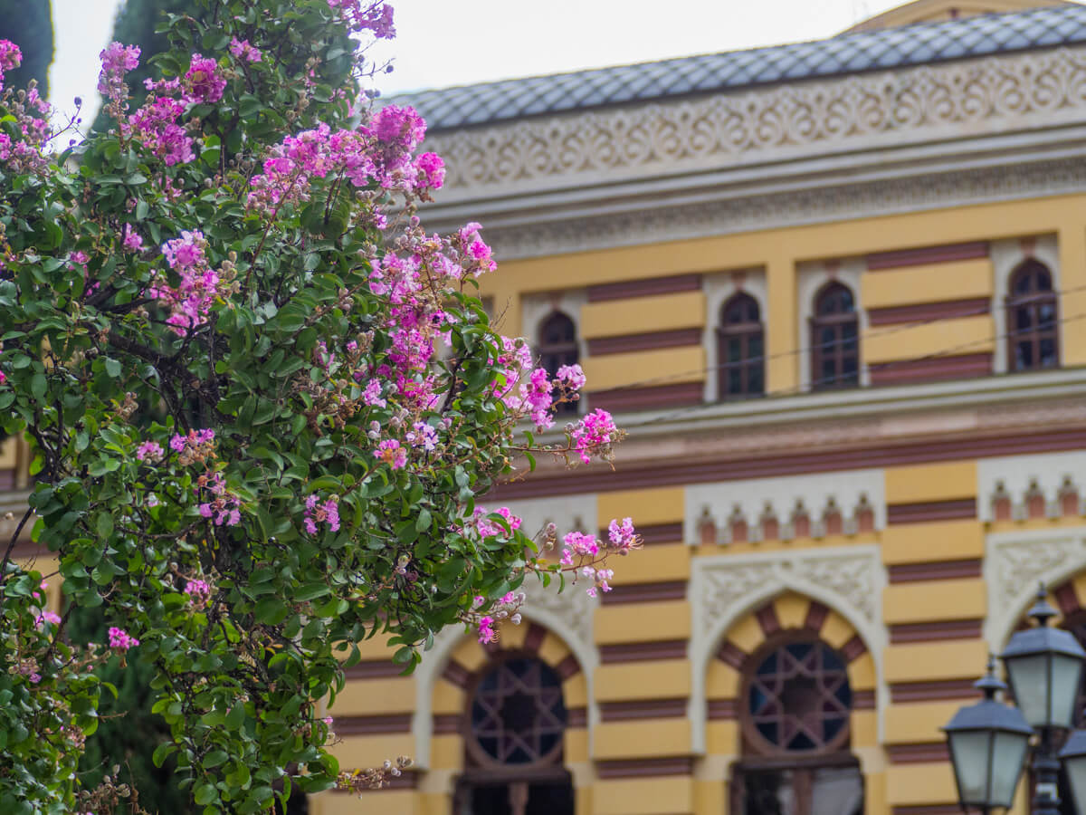 ორი უძველესი შენობა თბილისის კულტურული ცხოვრების სათავეში