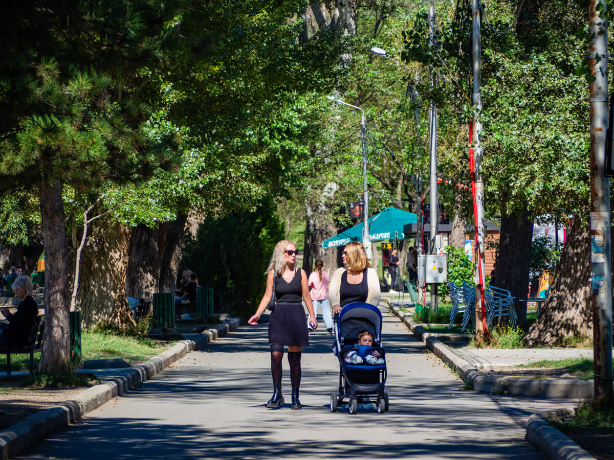 ლისის ტბა და ირგვლივ არსებული სამშენებლო ისტერია