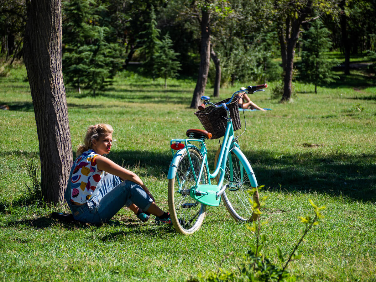 ლისის ტბა და ირგვლივ არსებული სამშენებლო ისტერია