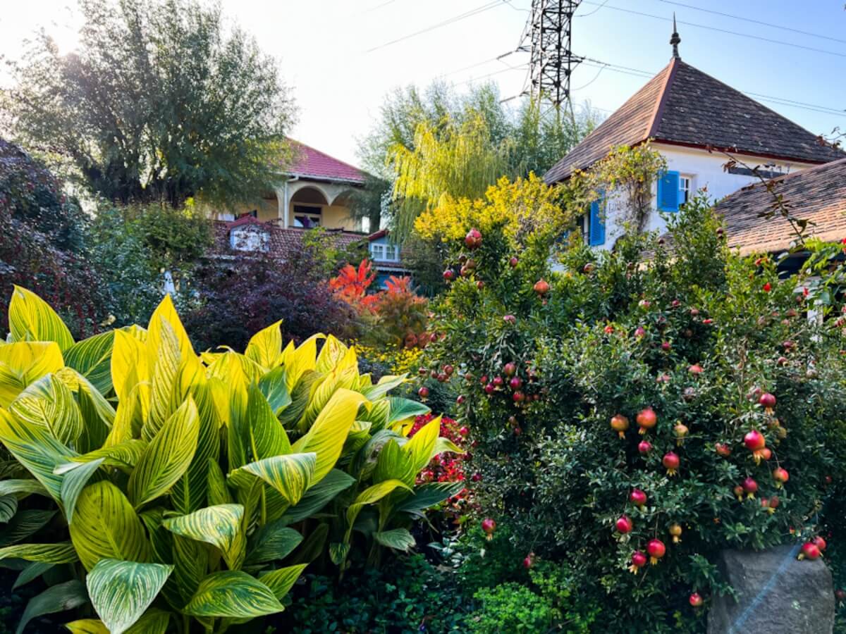 გარდენია შევარდნაძე – „ბეტონის ქალაქის“ მიღმა არსებული ფერადი სივრცე