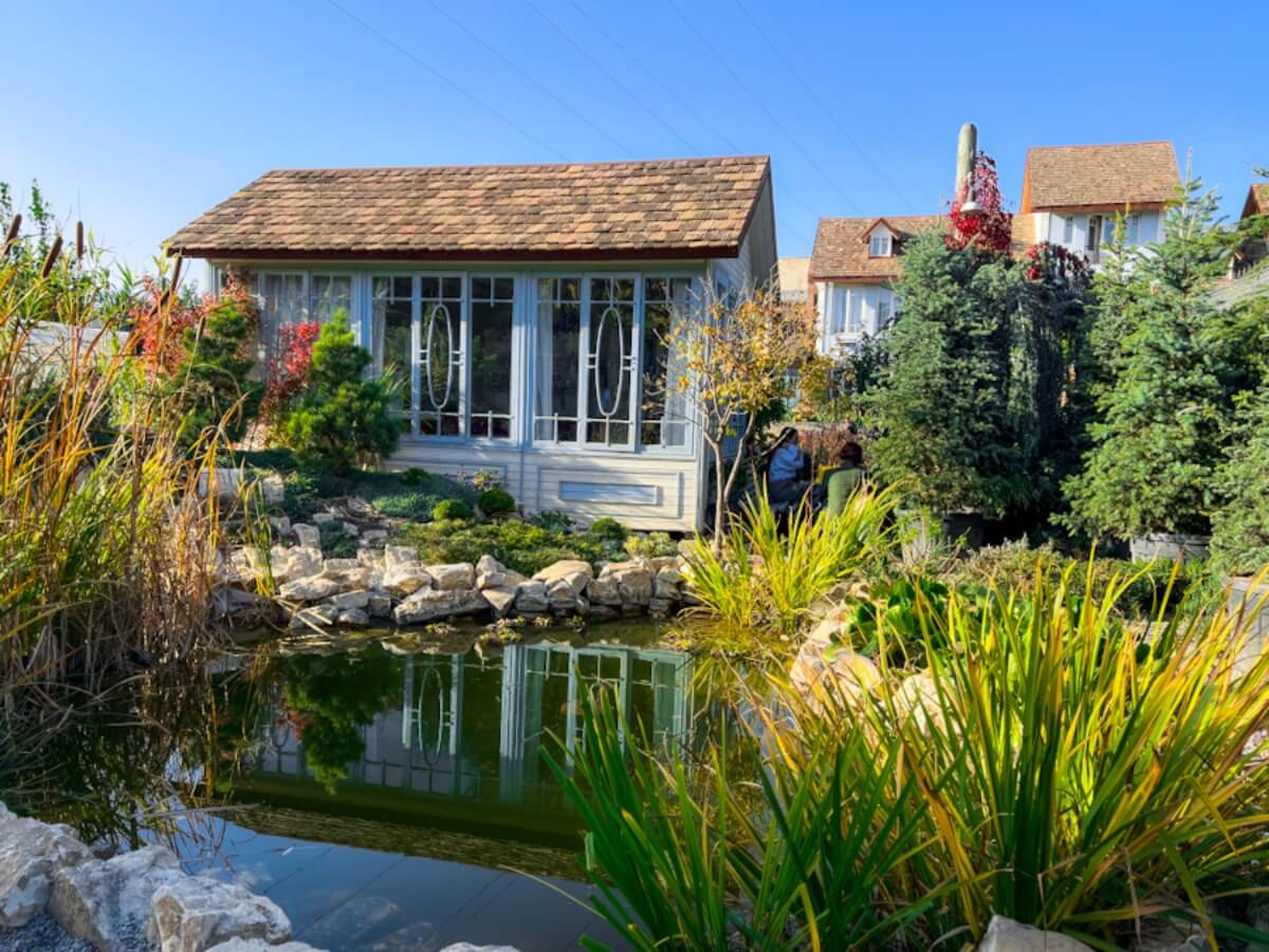 გარდენია შევარდნაძე – „ბეტონის ქალაქის“ მიღმა არსებული ფერადი სივრცე