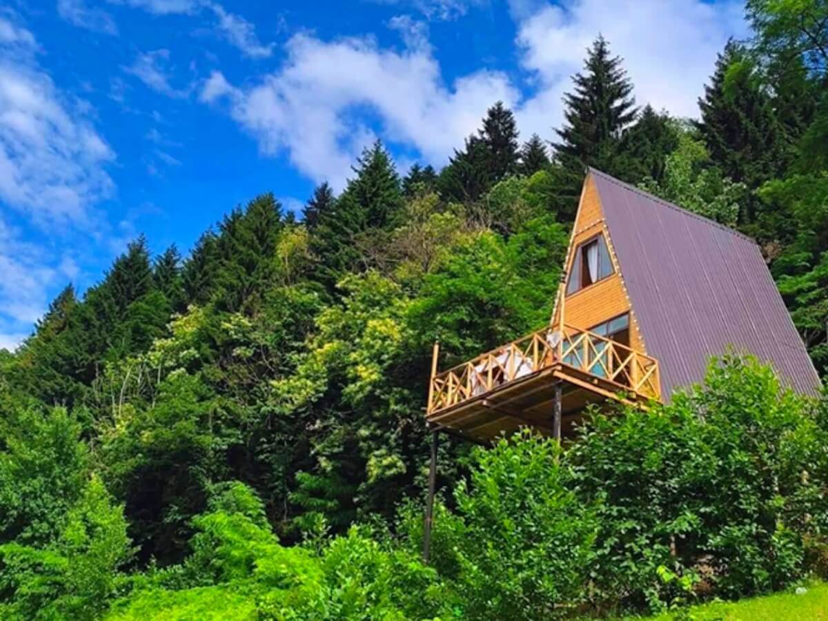 5 კოტეჯური ტიპის დასახლება თბილისსა და მის შემოგარენში