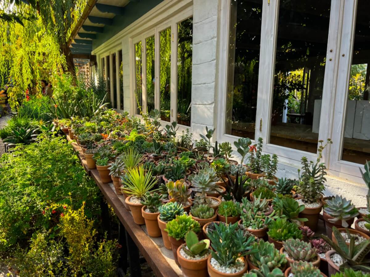 გარდენია შევარდნაძე – „ბეტონის ქალაქის“ მიღმა არსებული ფერადი სივრცე