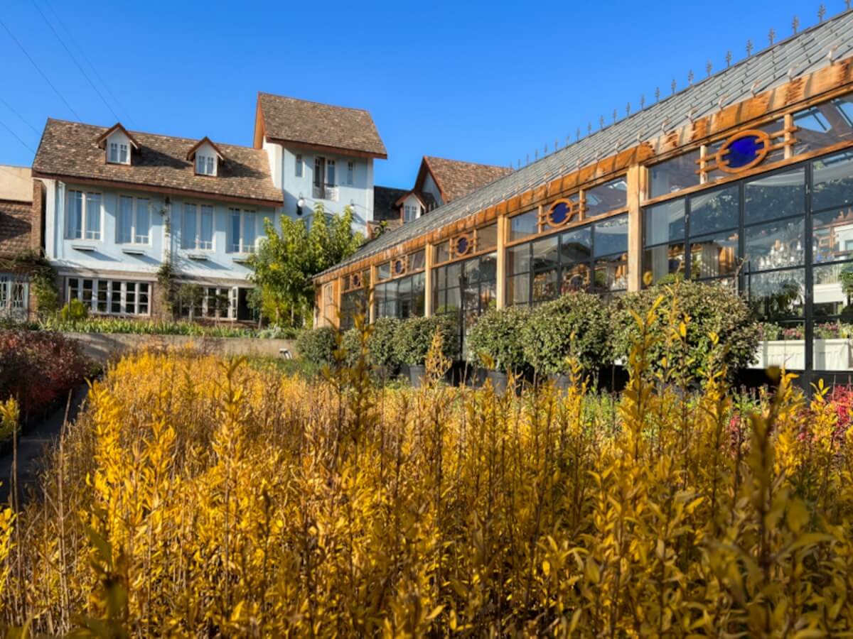 გარდენია შევარდნაძე – „ბეტონის ქალაქის“ მიღმა არსებული ფერადი სივრცე