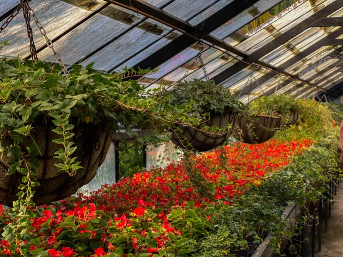 გარდენია შევარდნაძე – „ბეტონის ქალაქის“ მიღმა არსებული ფერადი სივრცე