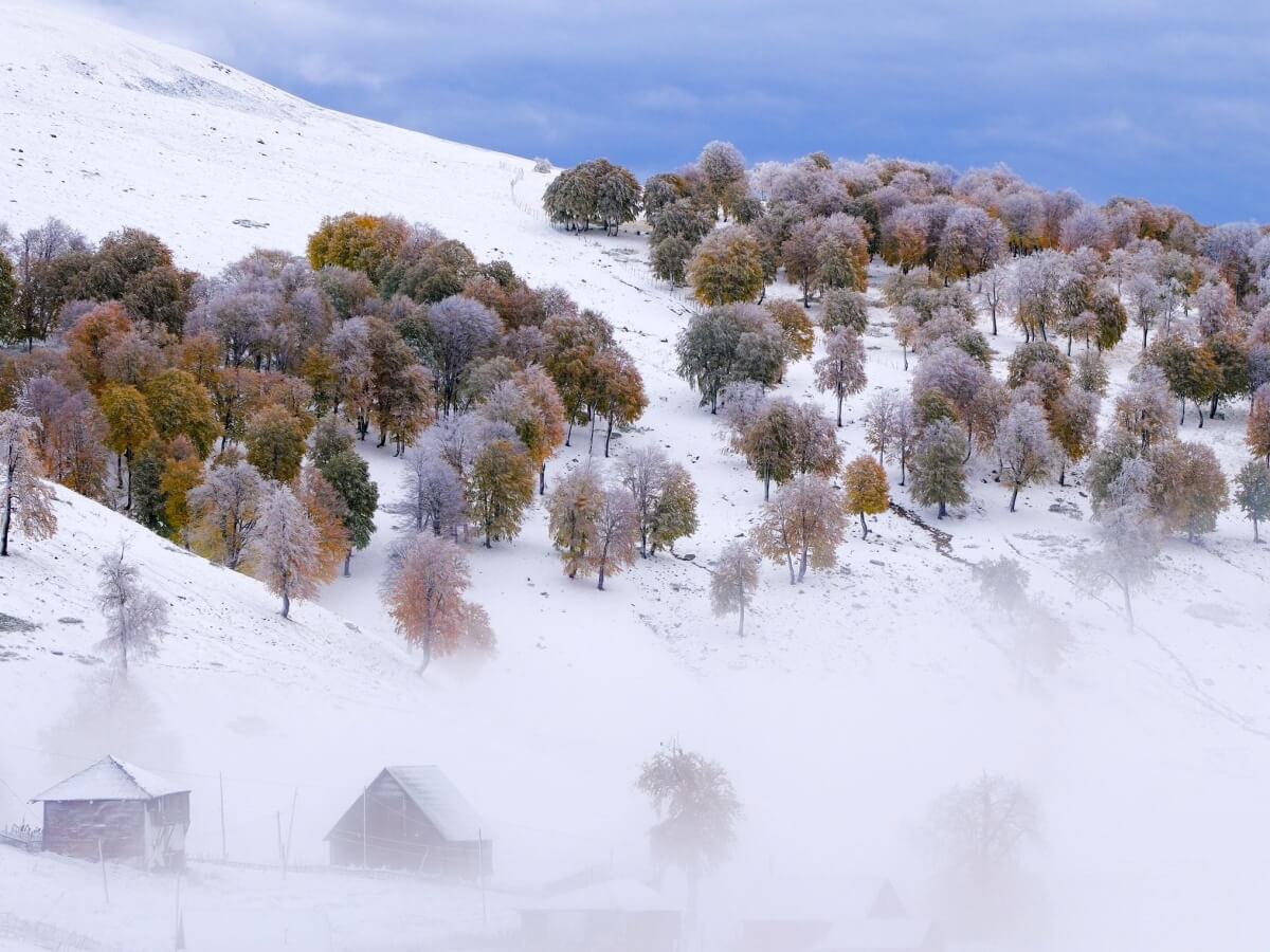 შემოდგომის ბურუსში შემოპარული თეთრი ფერები-მაღალმთიან აჭარაში პირველი თოვლი მოვიდა