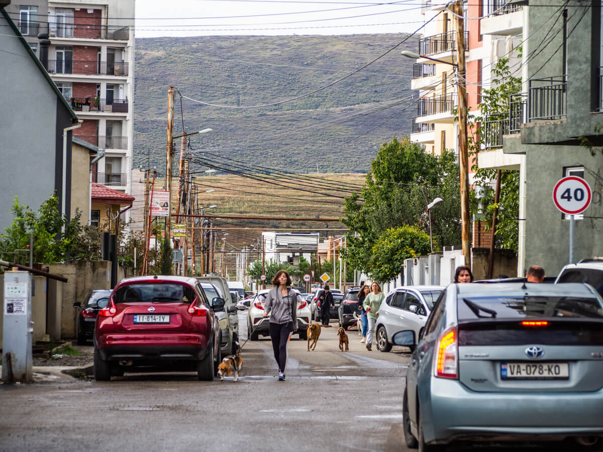 დიდი დიღომი და მასშტაბური განაშენიანება – რა საფრთხეებს პროგნოზირებენ ექსპერტები