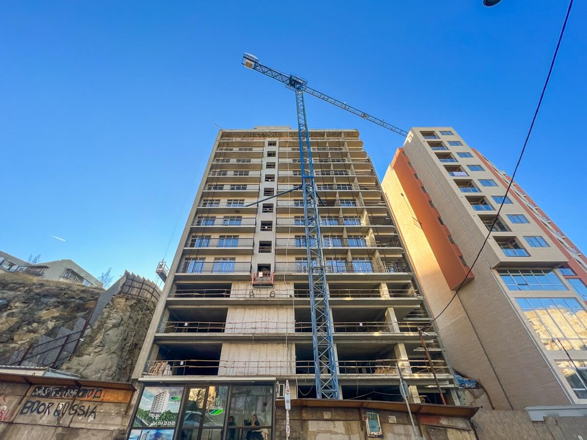 საფრთხის შემცველი ზონები თბილისში და ვაშლიჯვრის მასშტაბური განაშენიანება