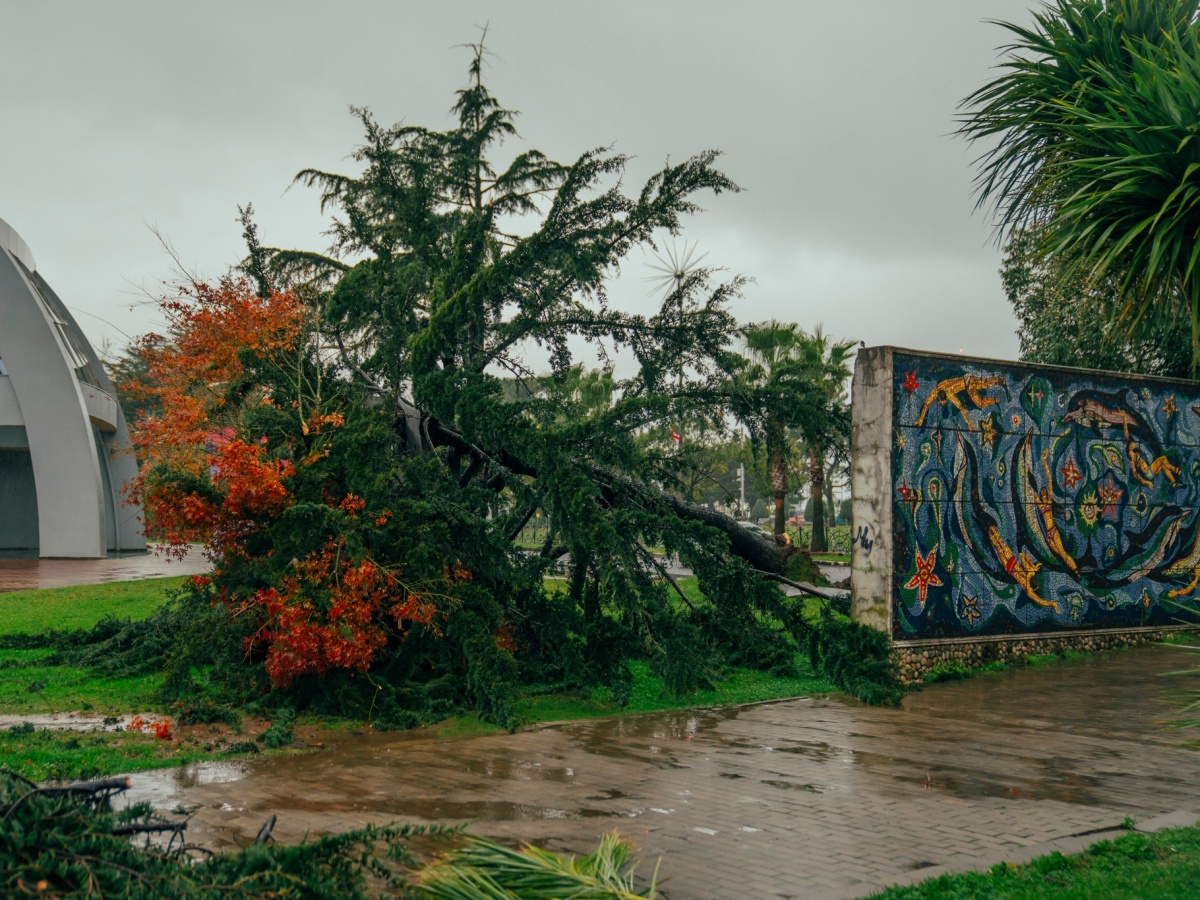 ფოტოფაქტი: ძლიერი ქარის შედეგად დაზიანებული საცხოვრებელი სახლები და ინფრასტრუქტურა-ბათუმში შედეგების სალიკვიდაციო სამუშაოები მიმდინარეობს