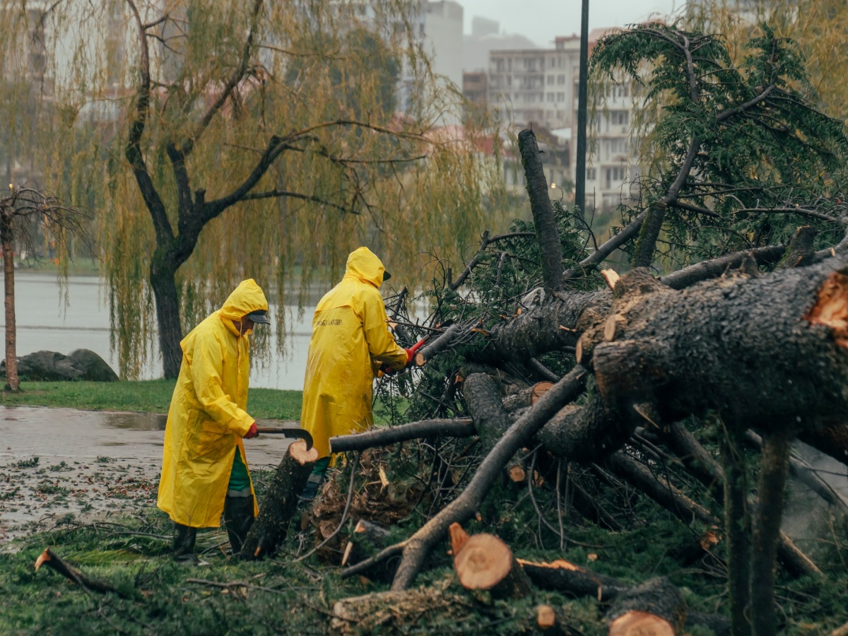 ფოტოფაქტი: ძლიერი ქარის შედეგად დაზიანებული საცხოვრებელი სახლები და ინფრასტრუქტურა-ბათუმში შედეგების სალიკვიდაციო სამუშაოები მიმდინარეობს