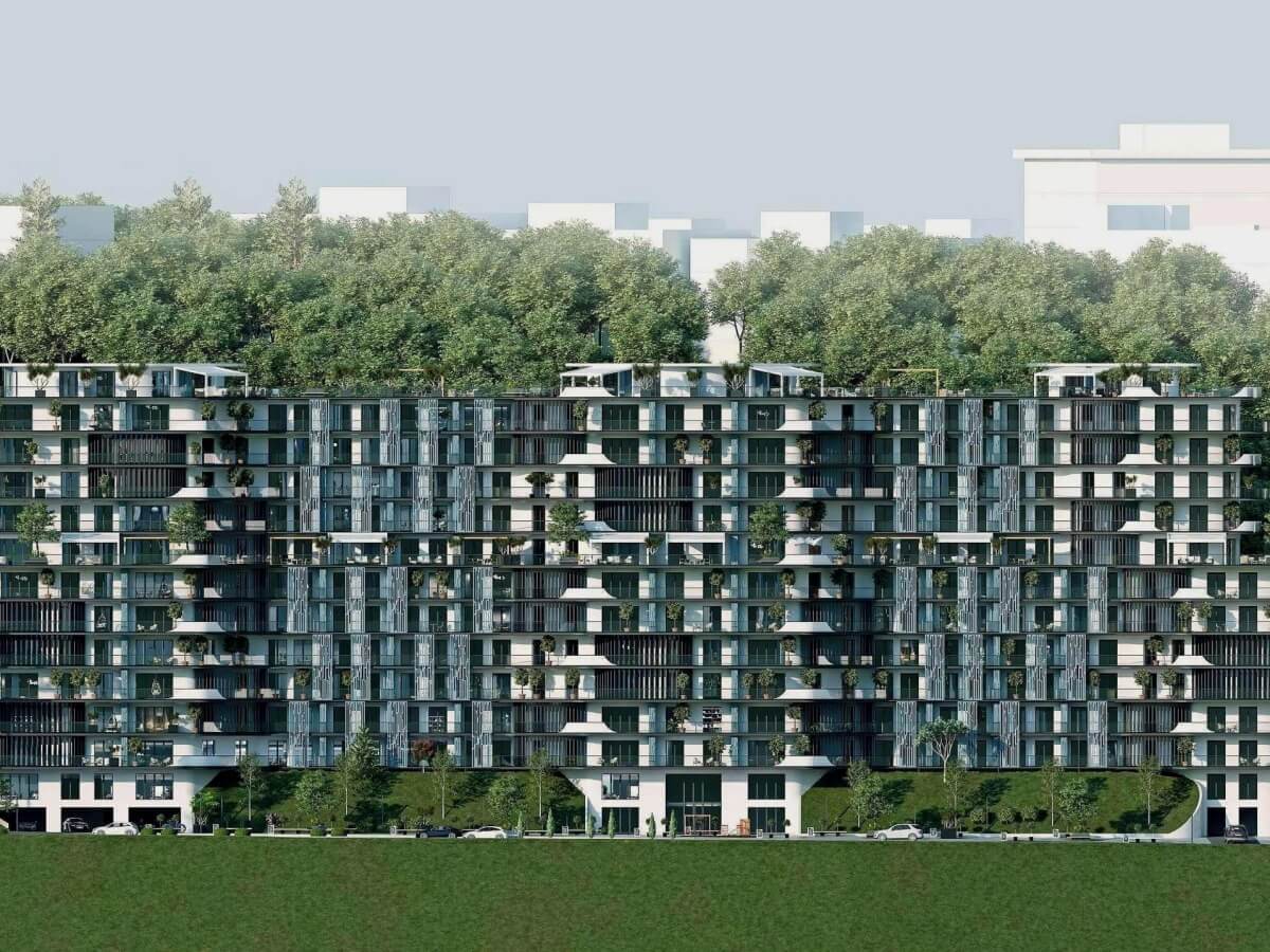 დეველოპერები აუთვისებელი ტერიტორიების განაშენიანებას შეუდგნენ – დანელიას ქუჩაზე მიმდინარე მასშტაბური მშენებლობები