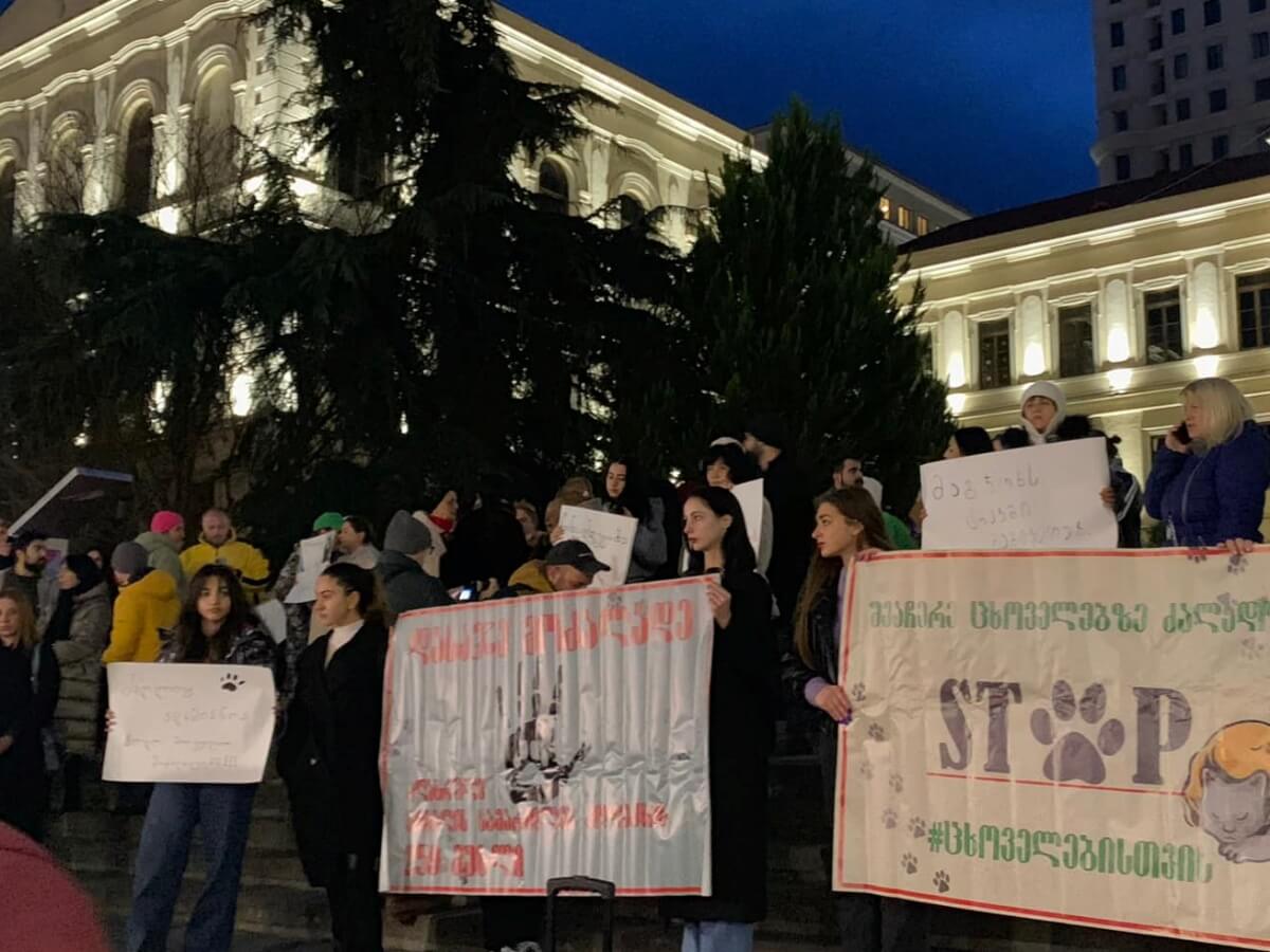 თბილისის პირველი საჯარო სკოლის წინ აქცია გაიმართა, რომელიც გუშინ მარნეულში სასტიკად მოკლული ძაღლის ამბავს აპროტესტებდა