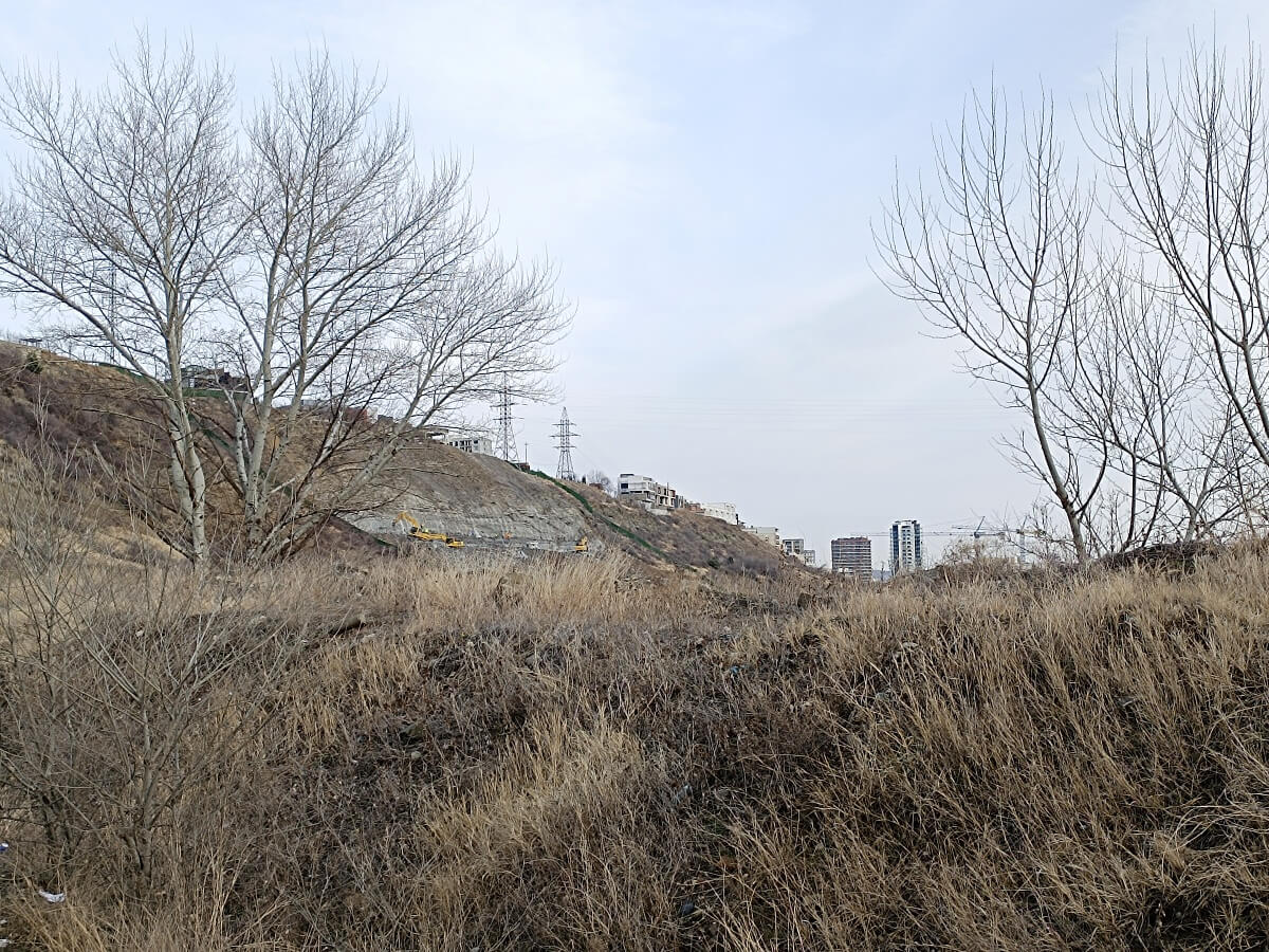 დეველოპერები აუთვისებელი ტერიტორიების განაშენიანებას შეუდგნენ – დანელიას ქუჩაზე მიმდინარე მასშტაბური მშენებლობები