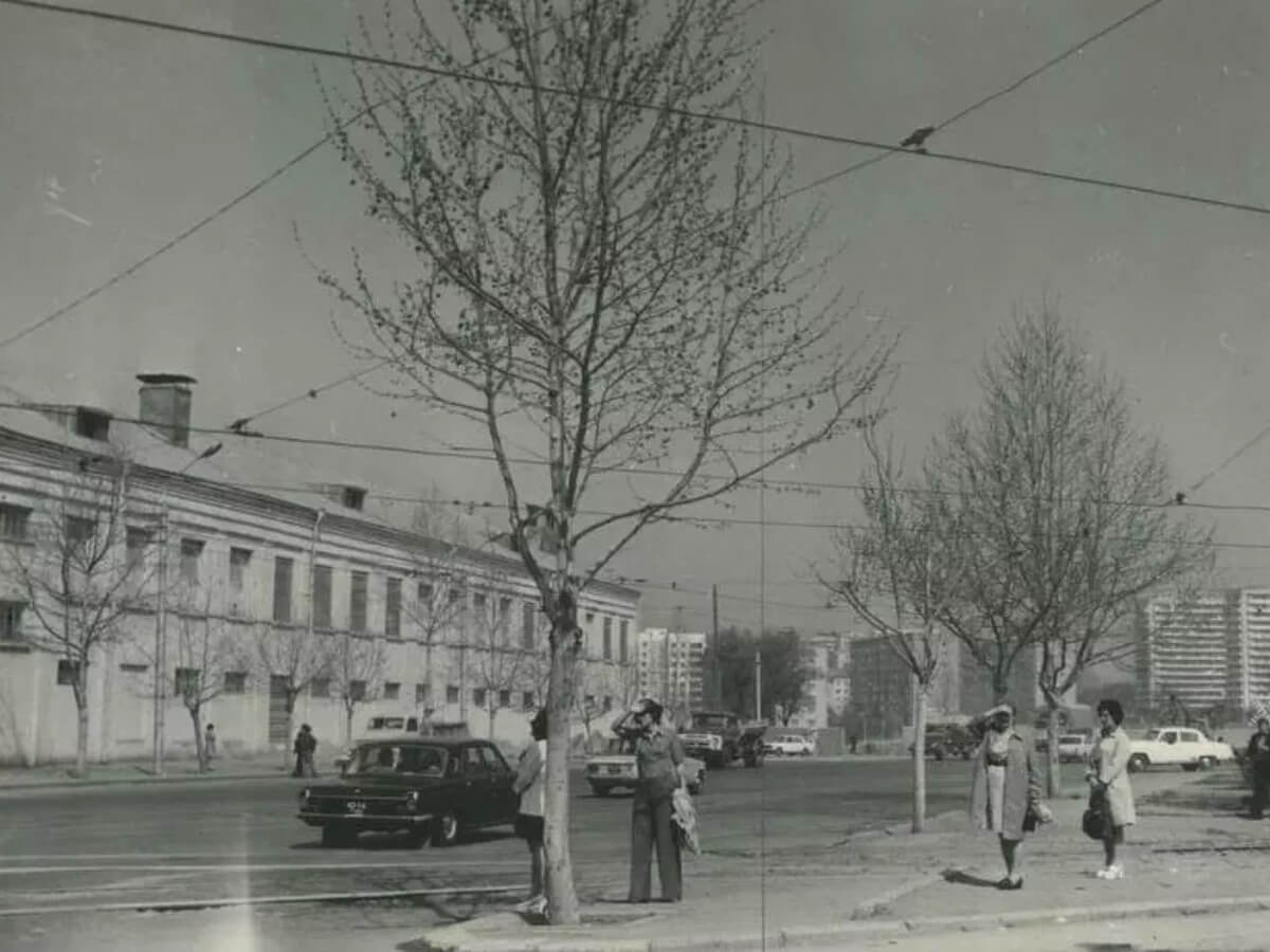 წერეთლის რეაბილიტაციის ქრონიკა – რა ეტაპები გაიარა თბილისის ერთ-ერთმა ყველაზე დატვირთულმა გამზირმა