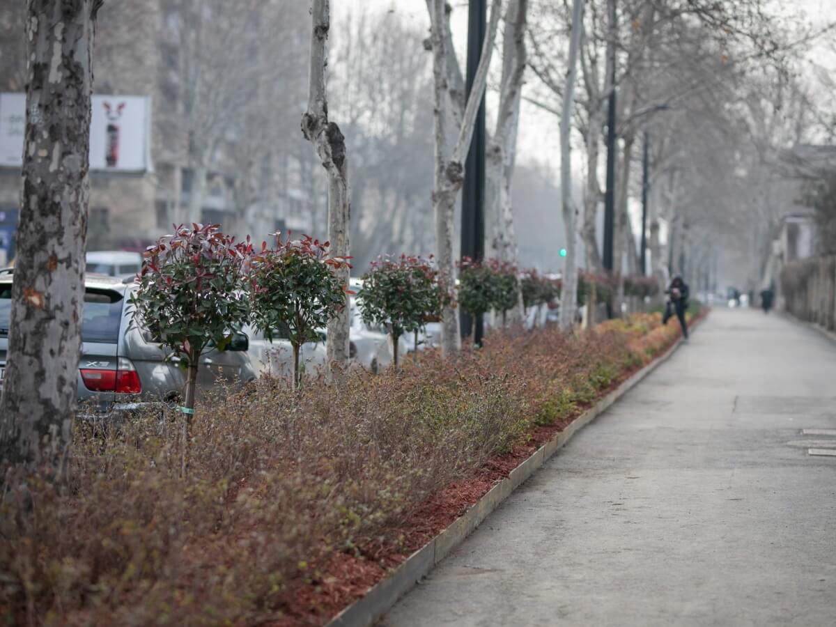 წერეთლის რეაბილიტაციის ქრონიკა – რა ეტაპები გაიარა თბილისის ერთ-ერთმა ყველაზე დატვირთულმა გამზირმა