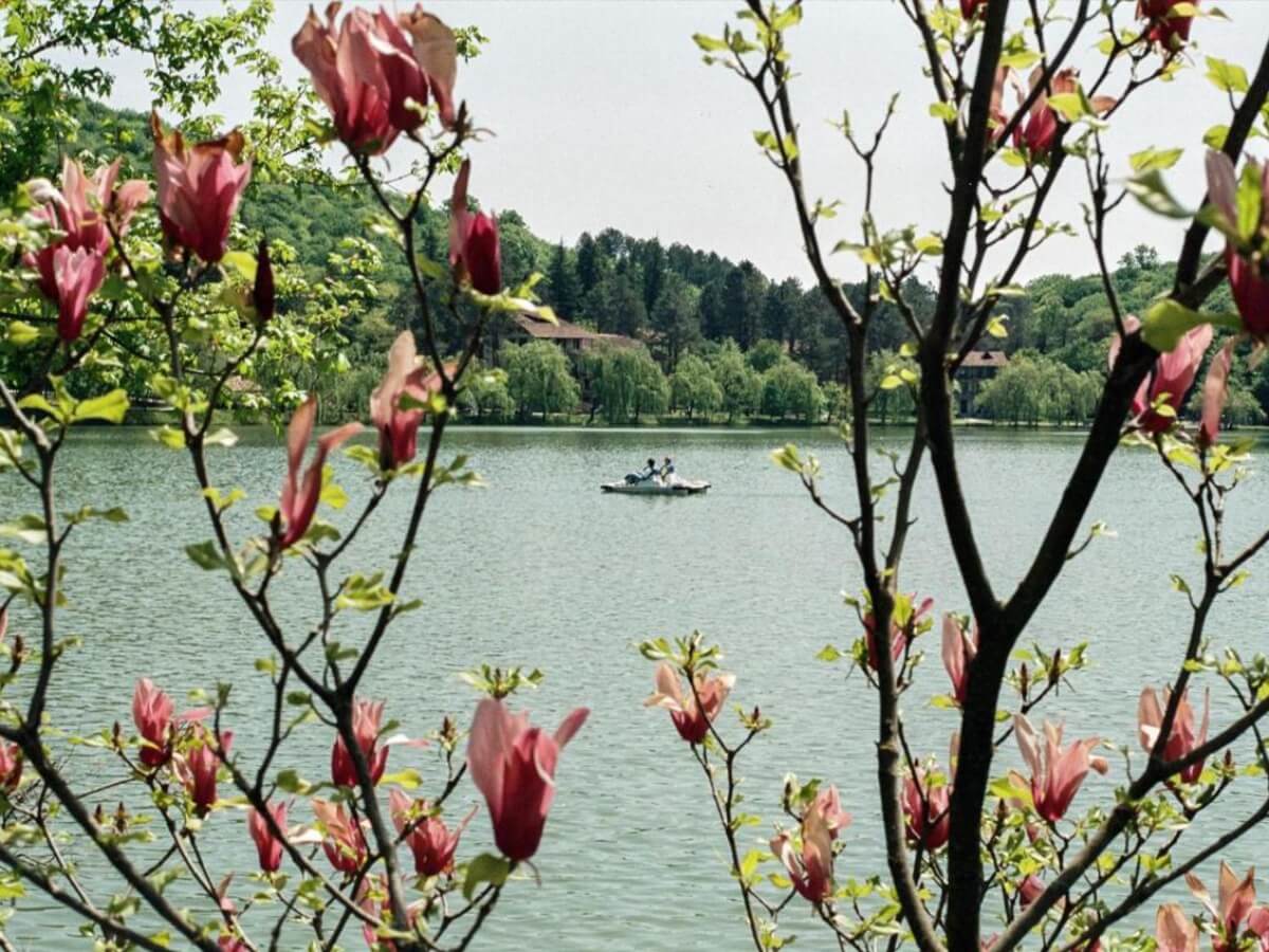 „ლოპოტა სპა რეზორტი“ – შვიდი ოთახიდან დაწყებული ისტორია